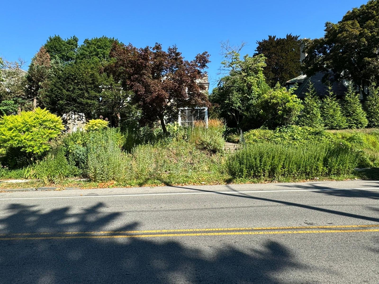 Yard cleanup work by Green Force Property Services